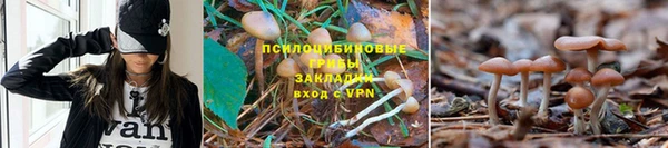 альфа пвп VHQ Арсеньев