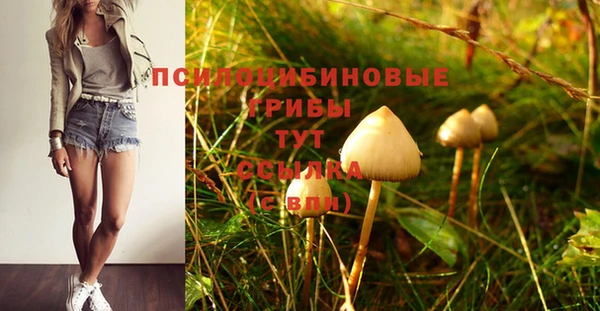 трава Баксан