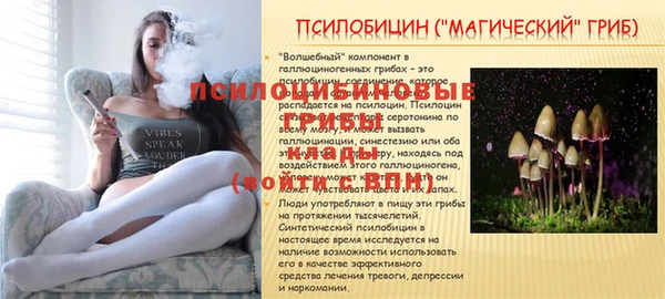 амф Аркадак