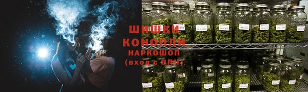 амф Аркадак