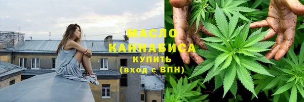 твердый Новозыбков