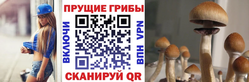 Галлюциногенные грибы Psilocybe  MEGA вход  Солнечногорск 